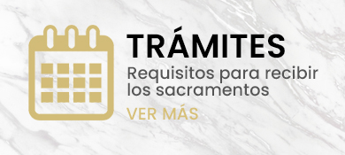 Minibanner Servicios